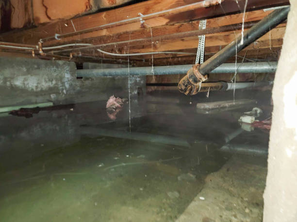 Best Emergency water damage restoration  in Floris, VA