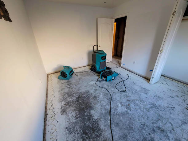  Floris, VA Water damage restoration Pros