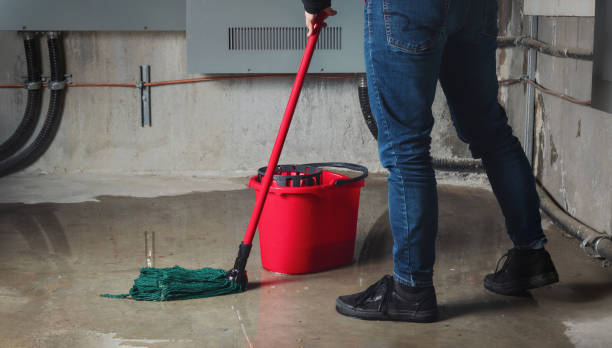 Best Mold removal after water damage  in Floris, VA
