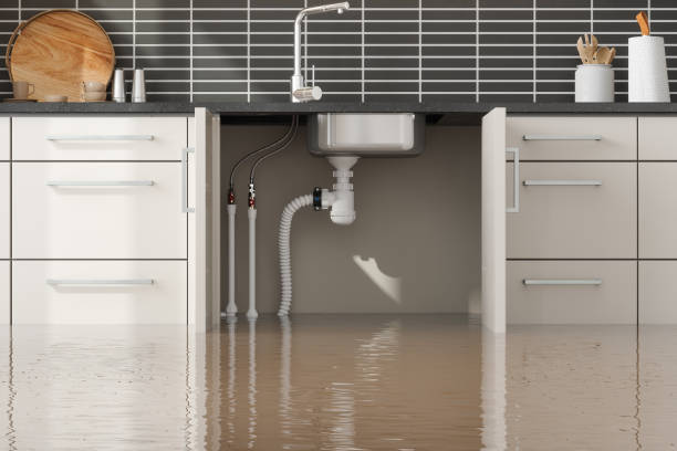 Best Water damage contractors near me  in Floris, VA