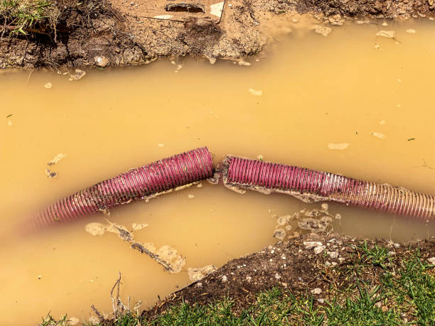24/7 water damage repair in Floris, VA