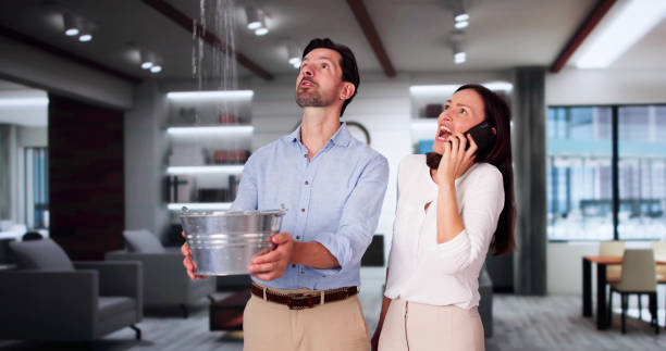 Best Fire Damage Restoration  in Floris, VA