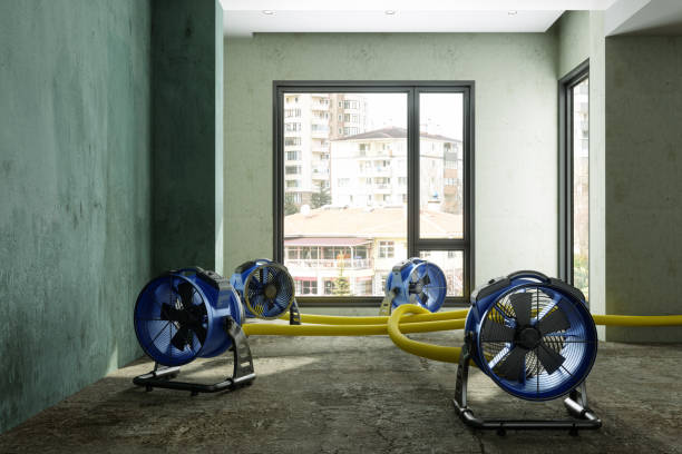 Best Water damage restoration company  in Floris, VA